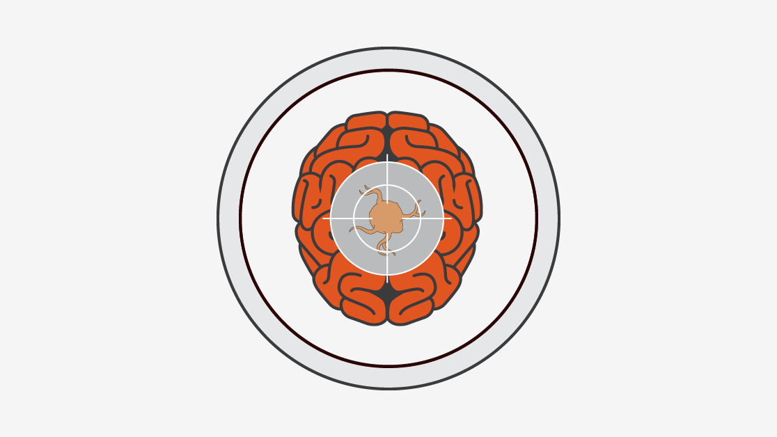 Illustration of a brain with a target on it