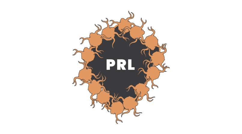 Illustration montrant des cellules microgliales chargées en fer entourant le bord des lésions paramagnétiques