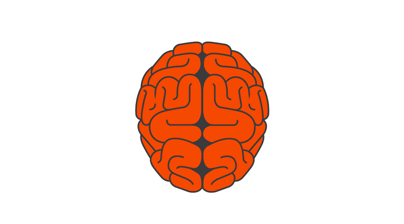 Illustration d'un cerveau