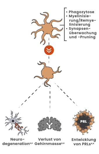 Illustration des Shifts der Mikroglia von einem homöostatischen in einen krankheitsassoziierten Zustand