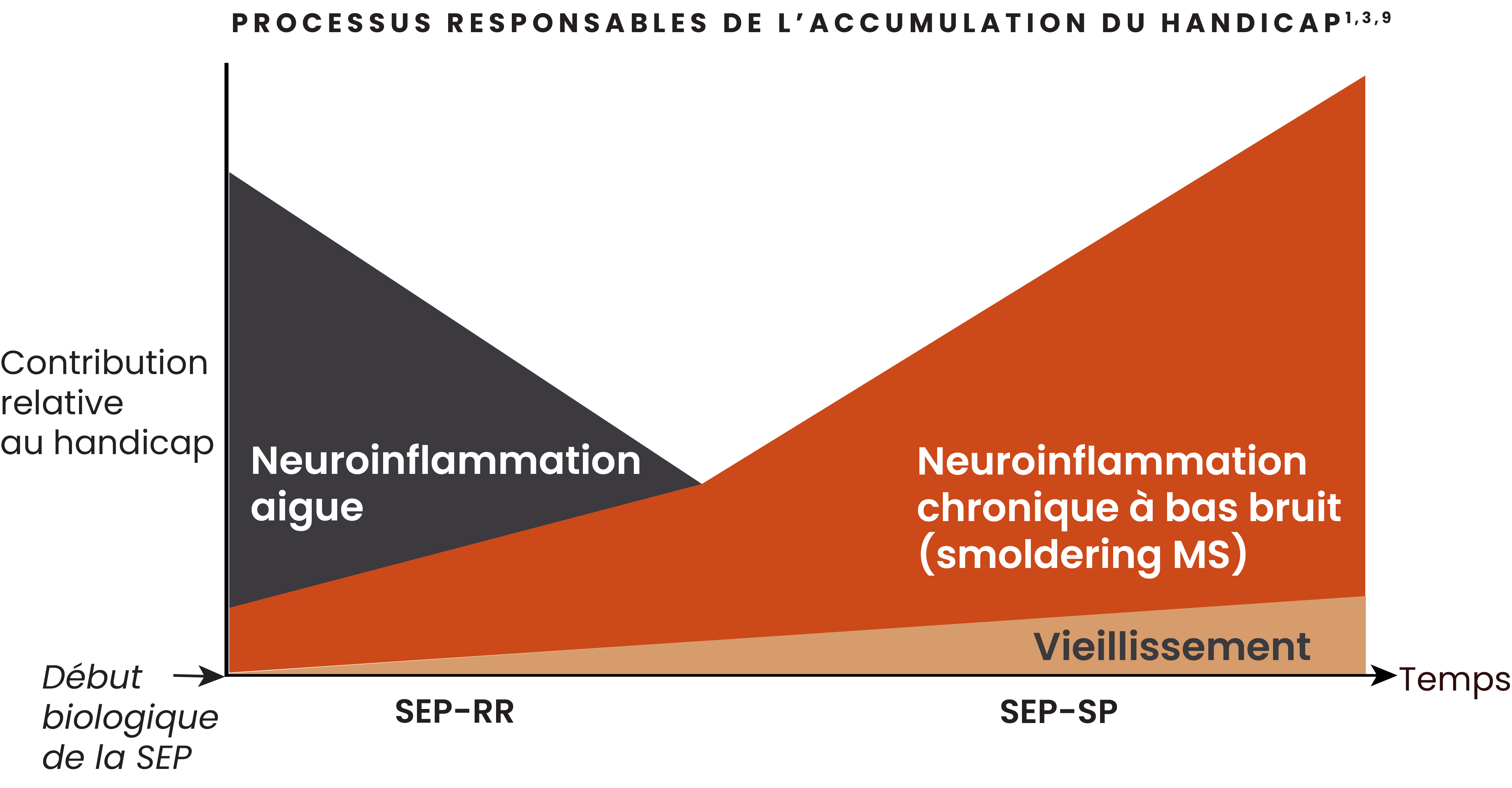 Illustration représentant l'évolution de la contribution de la neuroinflammation aiguë et chronique au handicap.