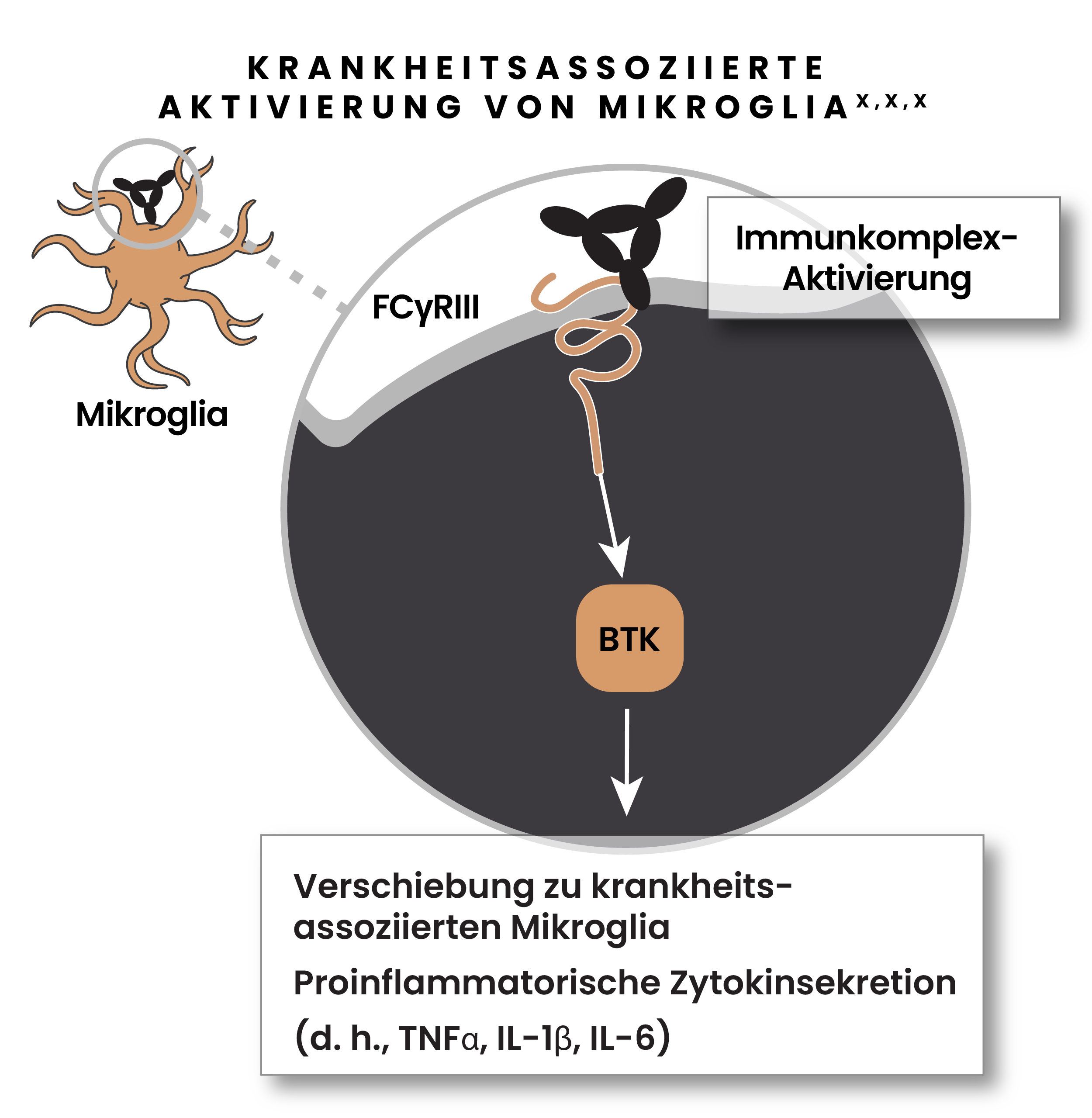 Illustration der krankheitsassoziierten Aktivierung der Mikroglia mit Immunkomplex-Aktivierung