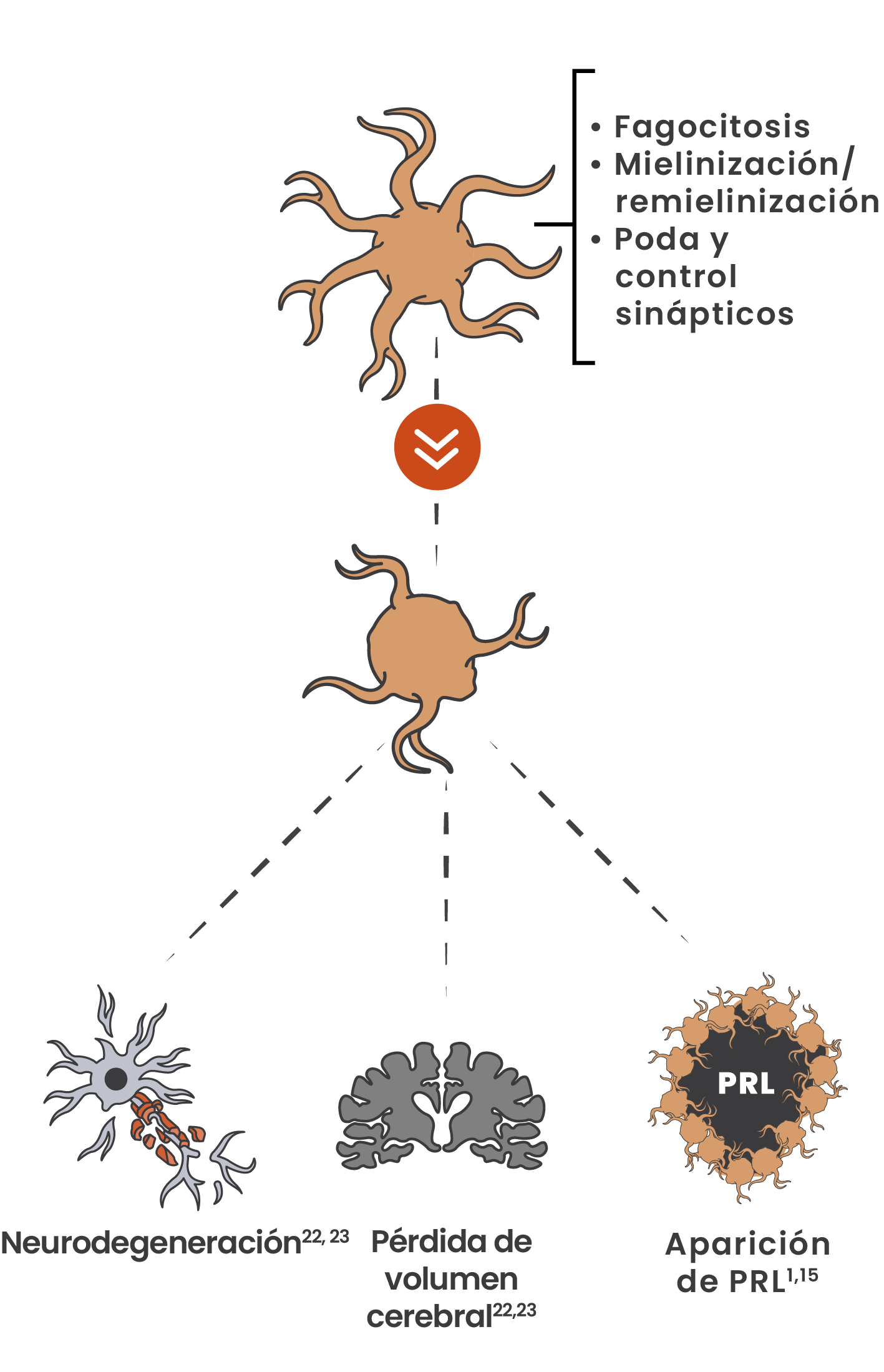Illustration showing microglia shifting from a homeostatic to a disease-associated state