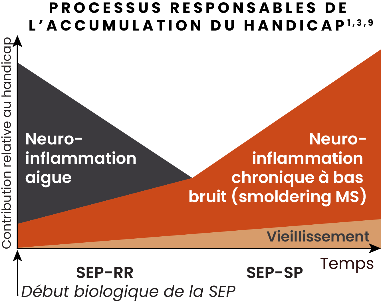 Illustration représentant l'évolution de la contribution de la neuroinflammation aiguë et chronique au handicap.