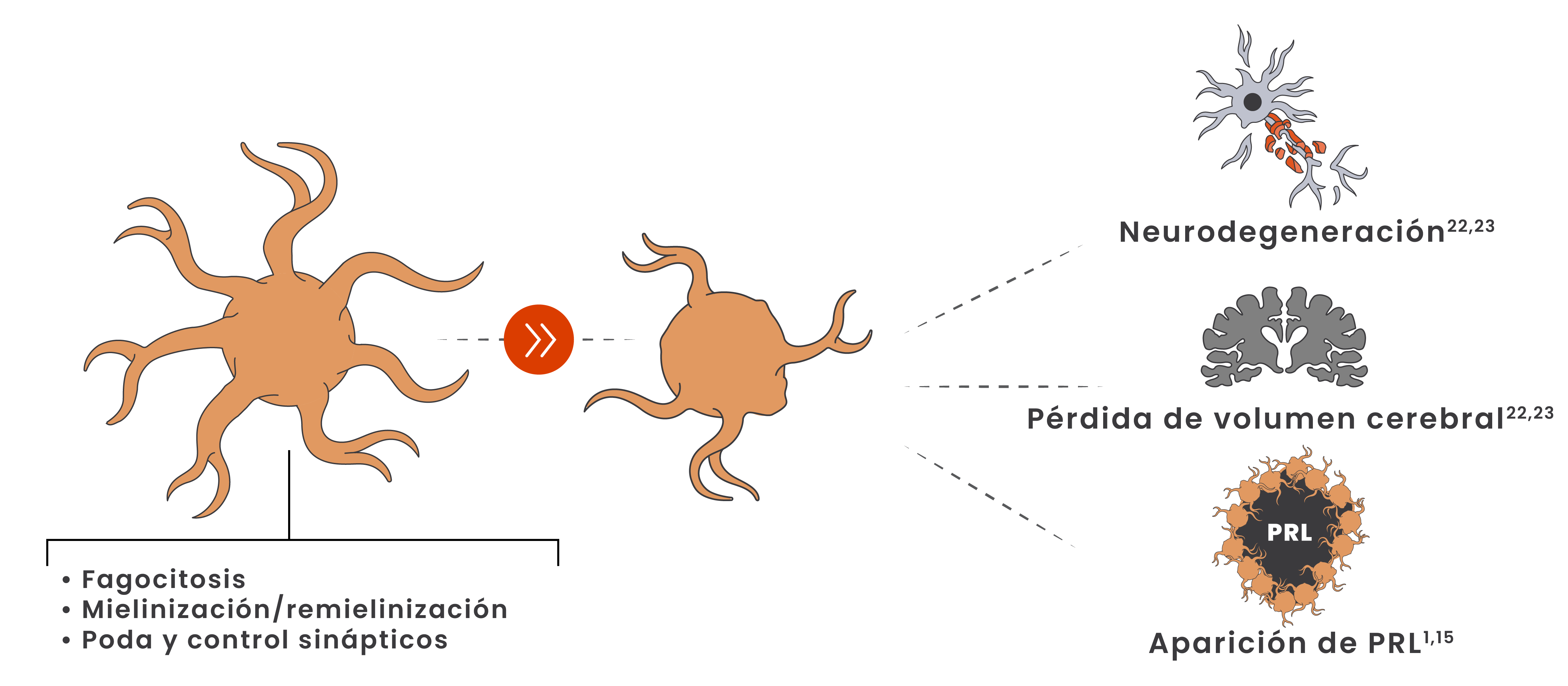 Illustration showing microglia shifting from a homeostatic to a disease-associated state
