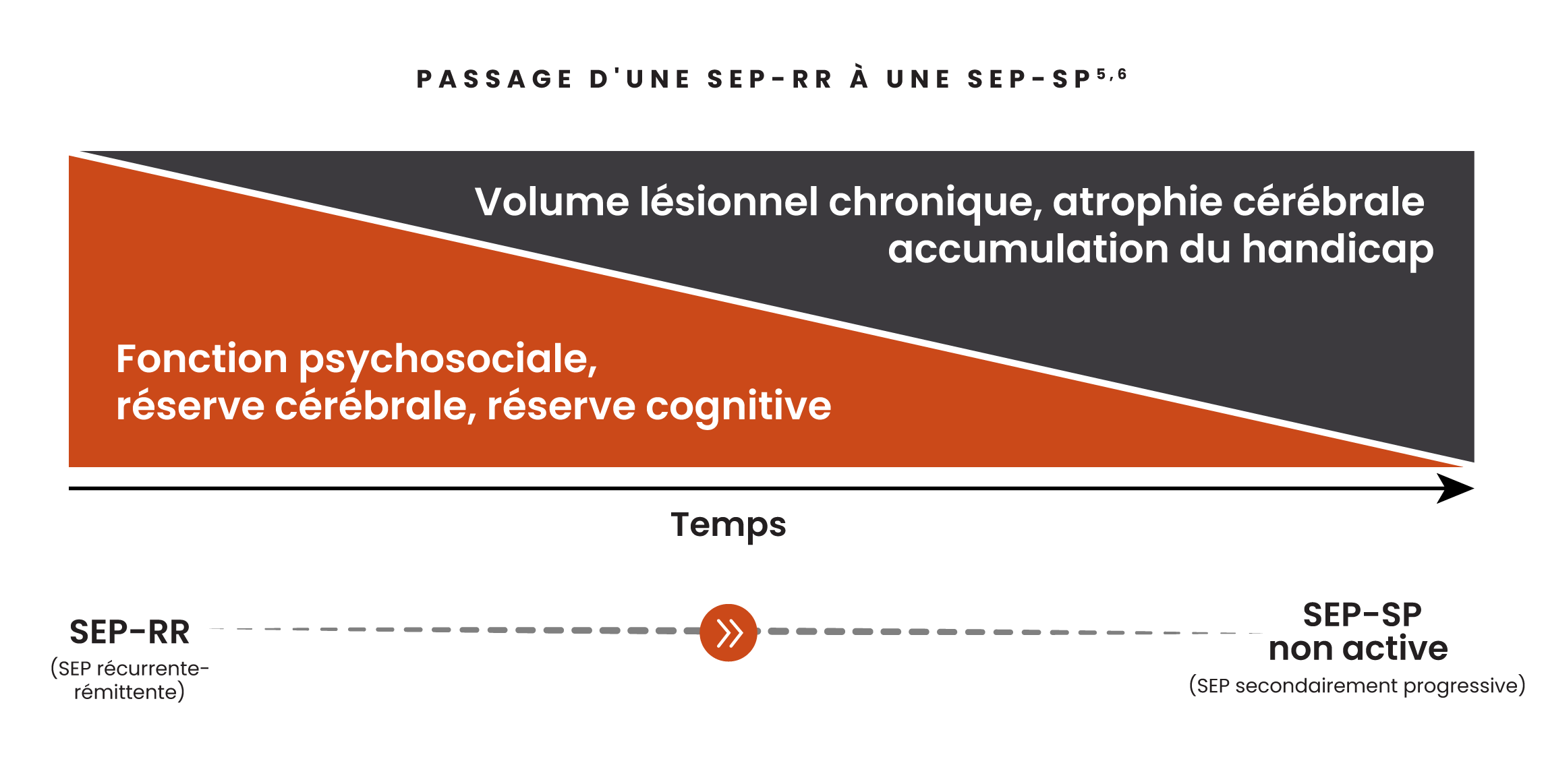 Illustration montrant l'impact de l'accumulation du handicap au fil du temps, notamment l'augmentation du volume des lésions chroniques, l'atrophie cérébrale, l'accumulation du handicap et la diminution des fonctions psychosociales, de la réserve cérébrale et de la réserve cognitive chez les patients atteints de SEP-RR et de SEP-SP.